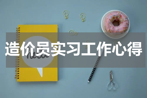 造价员实习工作心得