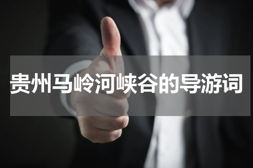 贵州马岭河峡谷的导游词