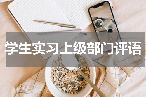 学生实习上级部门评语