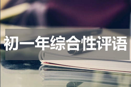 初一年综合性评语