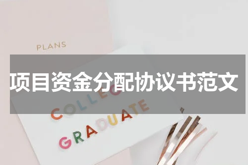 项目资金分配协议书范文