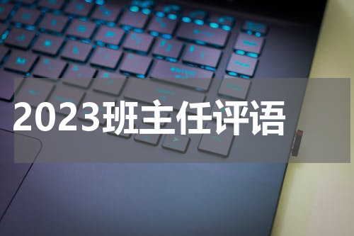 2023班主任评语