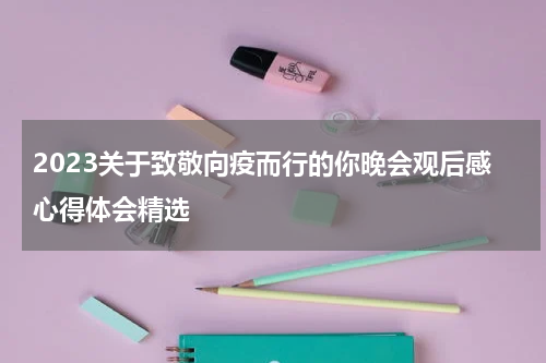 2023关于致敬向疫而行的你晚会观后感心得体会精选