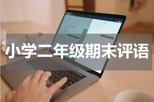 小学二年级期末评语