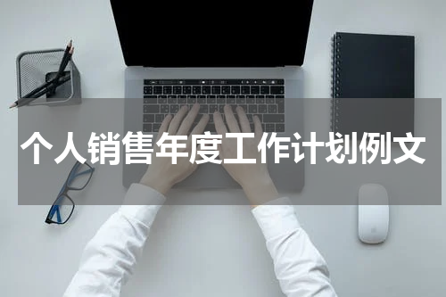 个人销售年度工作计划例文