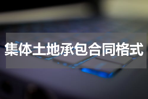 集体土地承包合同格式
