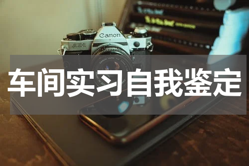 车间实习自我鉴定