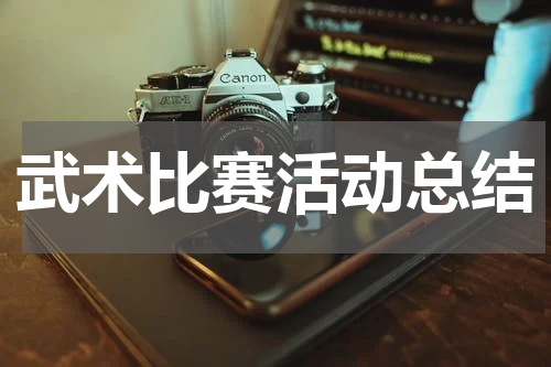 武术比赛活动总结