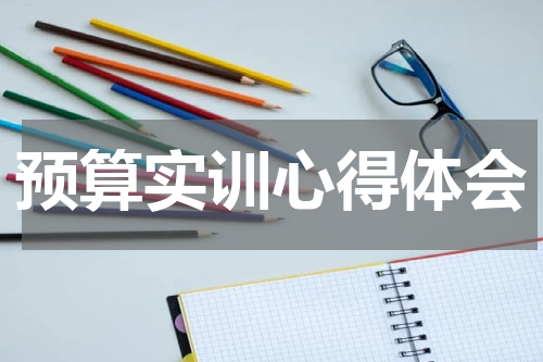 预算实训心得体会