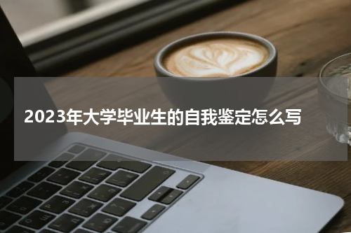 2023年大学毕业生的自我鉴定怎么写