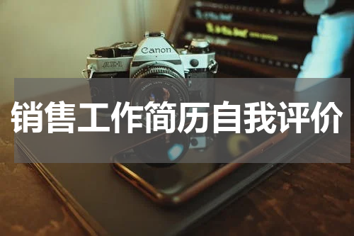 销售工作简历自我评价