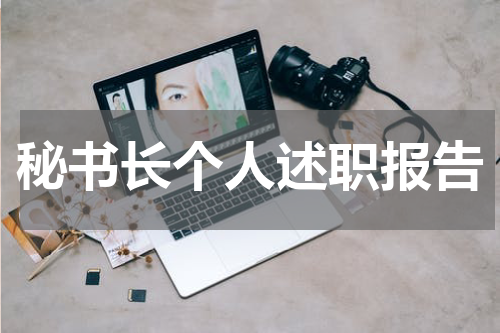 秘书长个人述职报告