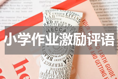 小学作业激励评语