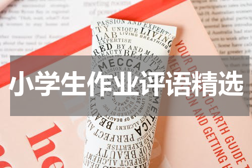 小学生作业评语精选
