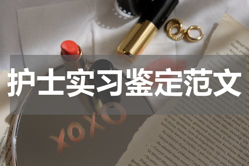护士实习鉴定范文