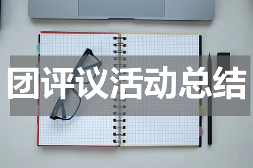 团评议活动总结