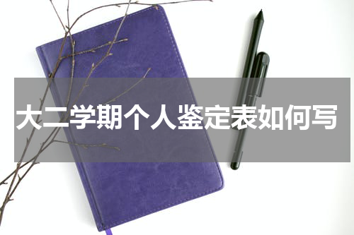 大二学期个人鉴定表如何写