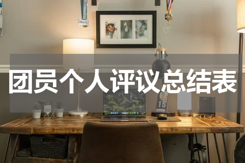 团员个人评议总结表