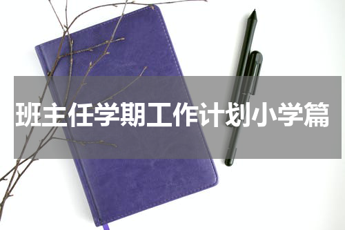 班主任学期工作计划小学篇