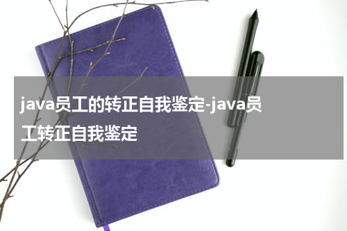 java员工的转正自我鉴定-java员工转正自我鉴定