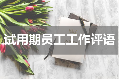 试用期员工工作评语