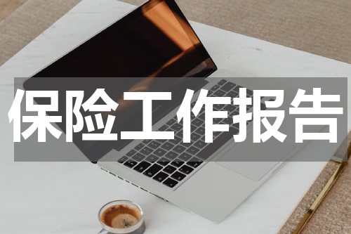 保险工作报告