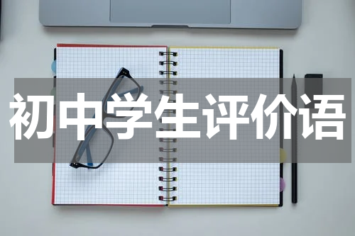 初中学生评价语