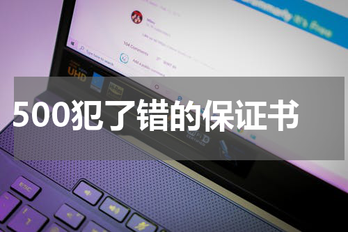 500犯了错的保证书