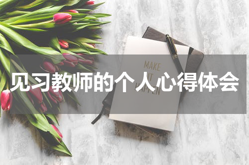 见习教师的个人心得体会