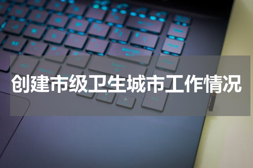 创建市级卫生城市工作情况