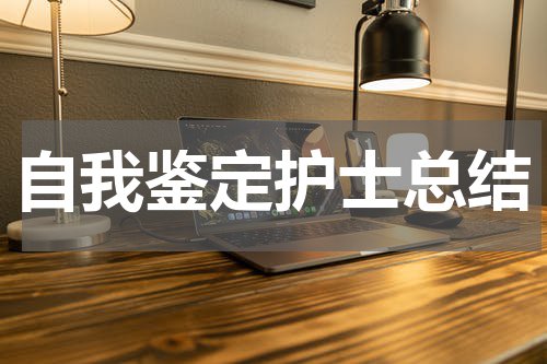 自我鉴定护士总结