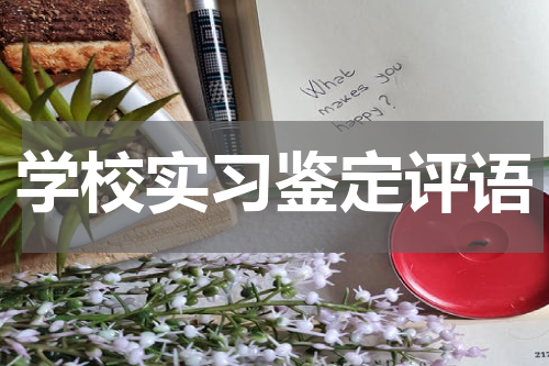 学校实习鉴定评语