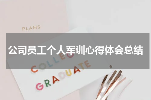 公司员工个人军训心得体会总结