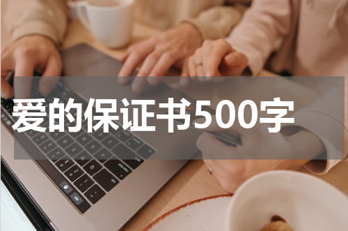 爱的保证书500字