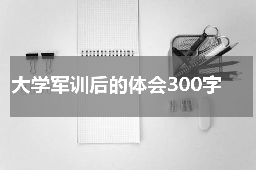 大学军训后的体会300字