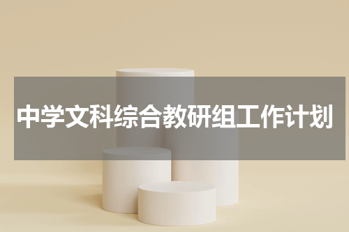 中学文科综合教研组工作计划