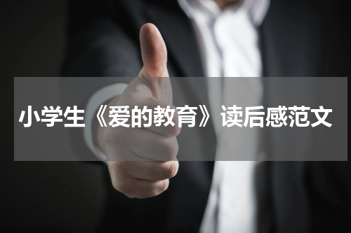 小学生《爱的教育》读后感范文