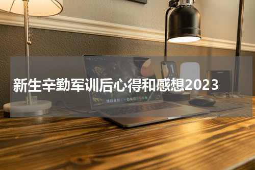 新生辛勤军训后心得和感想2023