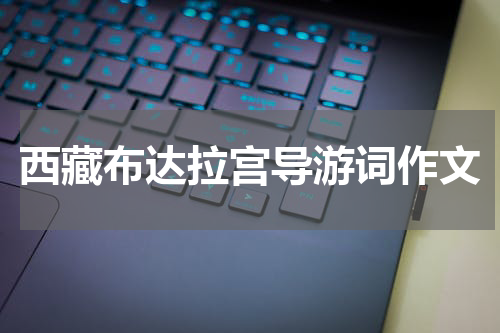 西藏布达拉宫导游词作文