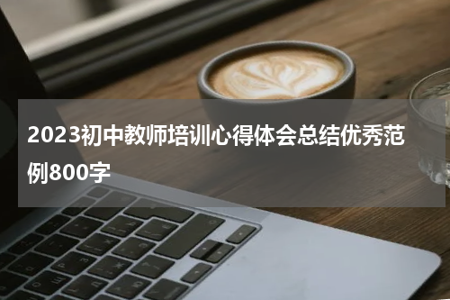2023初中教师培训心得体会总结优秀范例800字