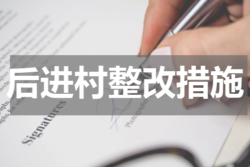 后进村整改措施