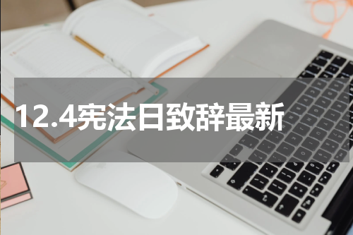 12.4宪法日致辞最新
