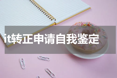 it转正申请自我鉴定