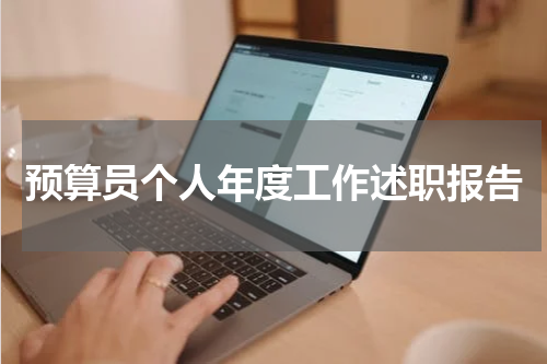 预算员个人年度工作述职报告