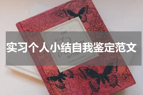 实习个人小结自我鉴定范文