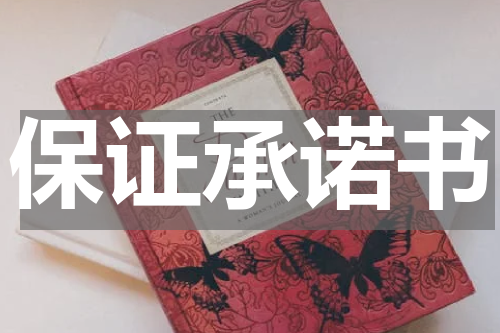 保证承诺书