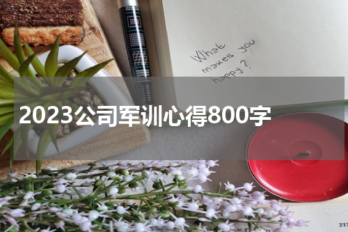 2023公司军训心得800字