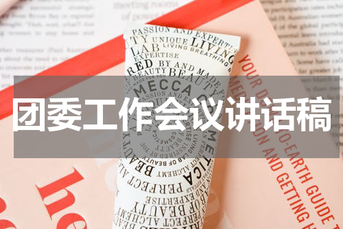 团委工作会议讲话稿