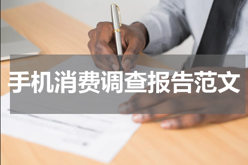 手机消费调查报告范文