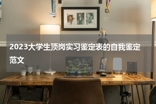 2023大学生顶岗实习鉴定表的自我鉴定范文